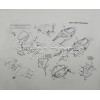 Bolt kit - Honda CBR600RR 2003-2006